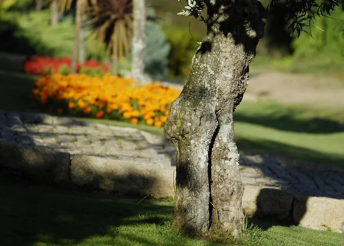 Quinta De Santa Teresinha *