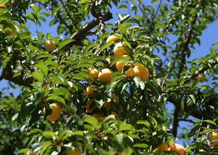 Casa de Campo Quinta De Santa Teresinha *